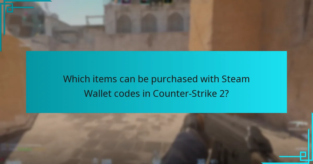Which items can be purchased with Steam Wallet codes in Counter-Strike 2?